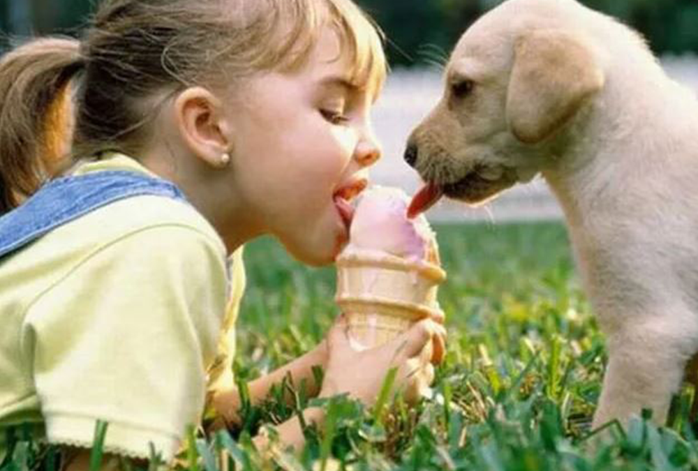 Los Cachorros y los Niños pequeños