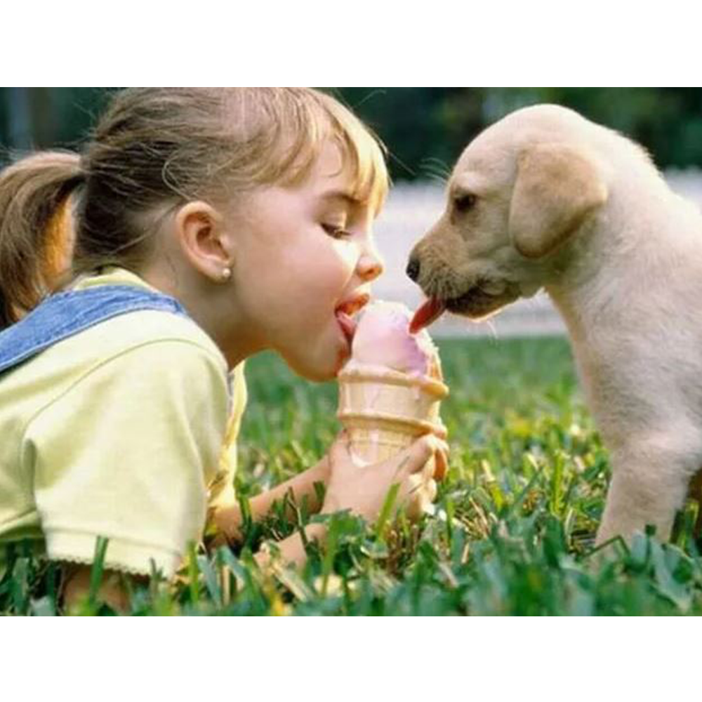 Cachorro de perro comiendo helado con una niña