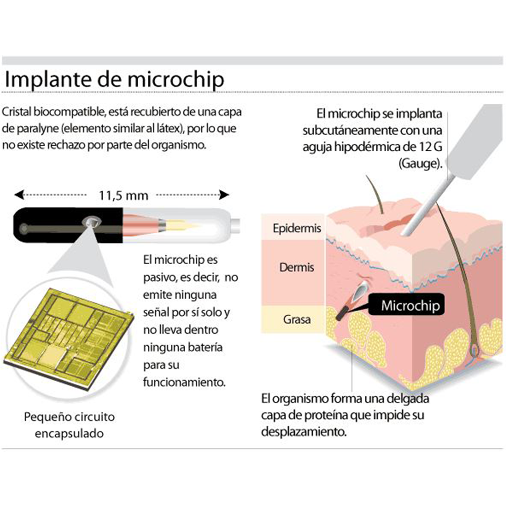 el Microchip en los animales, grafico