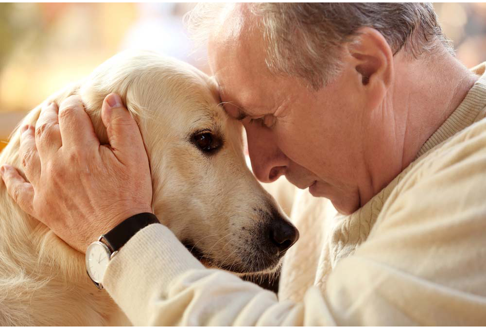 Convivir con un Perro en casa