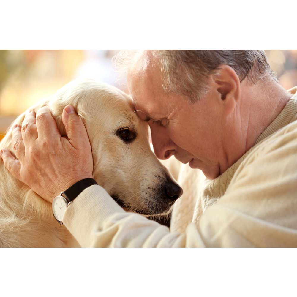 El cariño de un perro con su dueño - Convivir con un Perro en casa - beneficios terapéuticos de la compañía de un perro