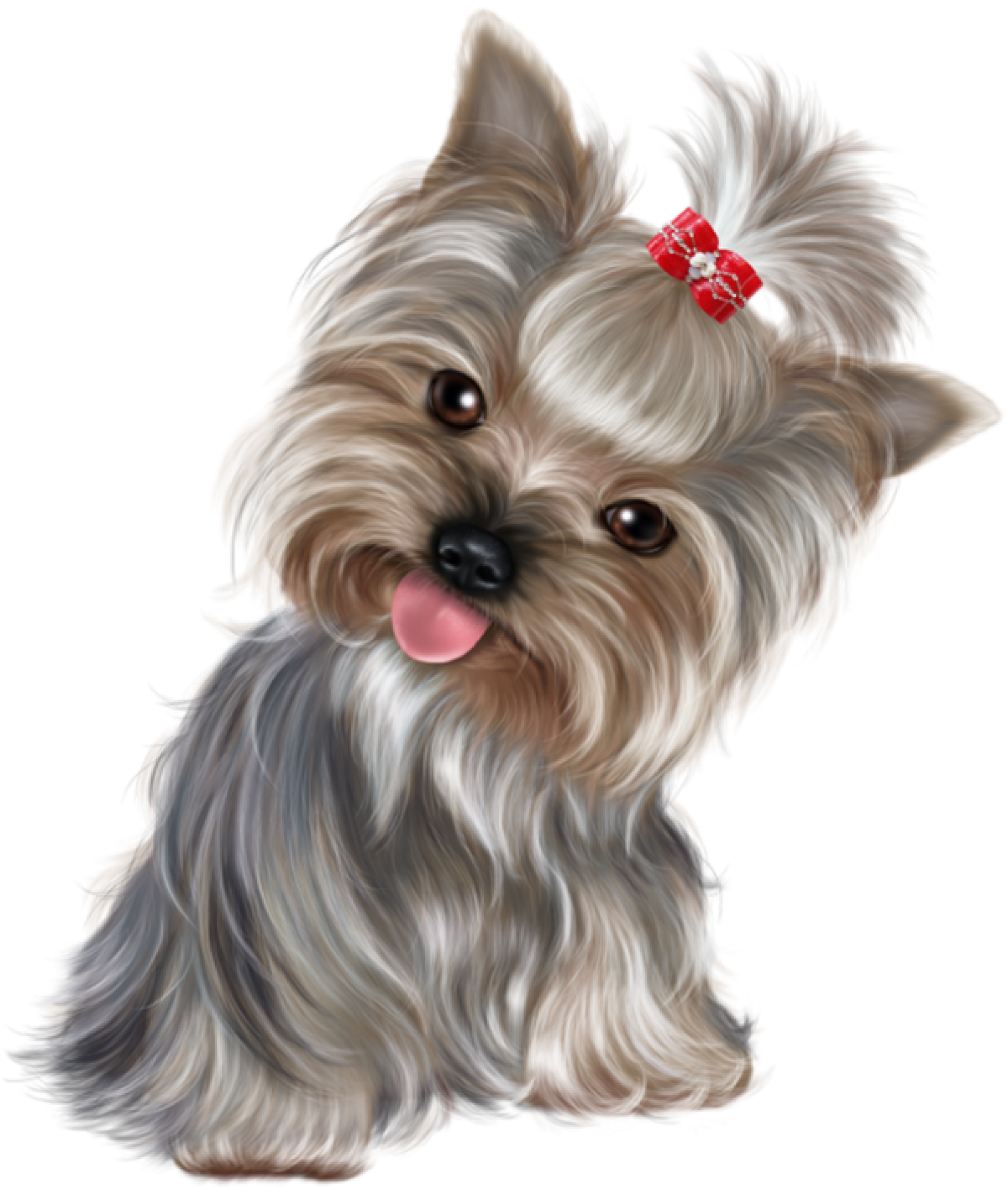 Yorkshire Terrier: Encanto y personalidad